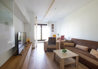 mieszkanie na wynajem - Kraków, Podgórze, Stare Podgórze, Przedwiośnie