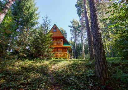 parcel for sale - Wiśniowa