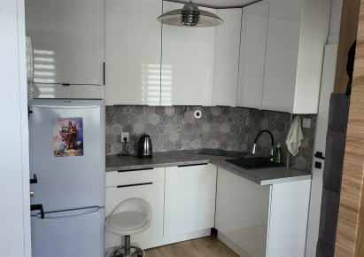 apartment for rent - Kraków, Bieżanów-Prokocim, Kozłówek