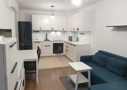 mieszkanie na wynajem - Kraków, Dębniki, Kliny