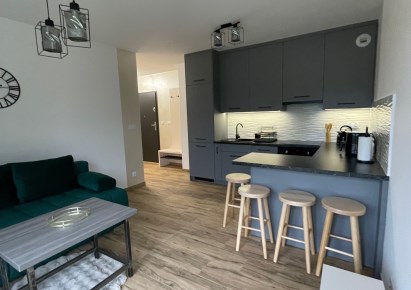 mieszkanie na wynajem - Kraków, Dębniki, Rydlówka