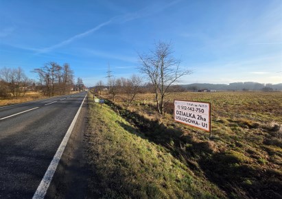 parcel for sale - Czernichów, Przeginia Duchowna, Śląska