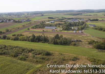 działka na sprzedaż - Skała (gw), Skała, Do Cegielni