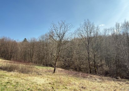 działka na sprzedaż - Świątniki Górne, Brzeg