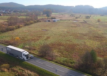 działka na sprzedaż - Czernichów, Przeginia Duchowna, Śląska