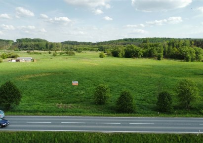 działka na sprzedaż - Czernichów, Przeginia Duchowna, Śląska